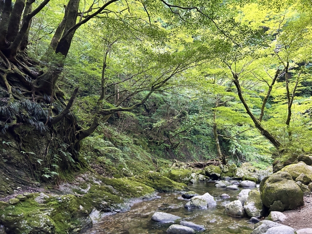 山林売買（売却や購入）の仲介手数料はいくら必要？